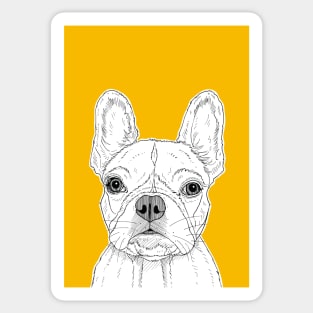 French Bull Terrier ( yellow background ) Sticker